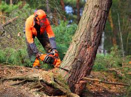 Mulching Services in Galeville, NY